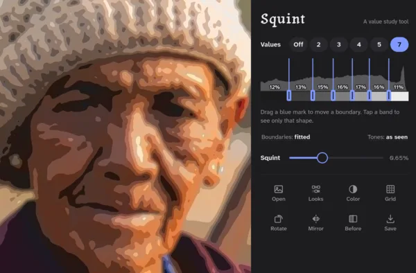 Squint showing a portrait under a straw hat broken into seven value bands, beside its controls: value count, band boundaries, and the squint slider
